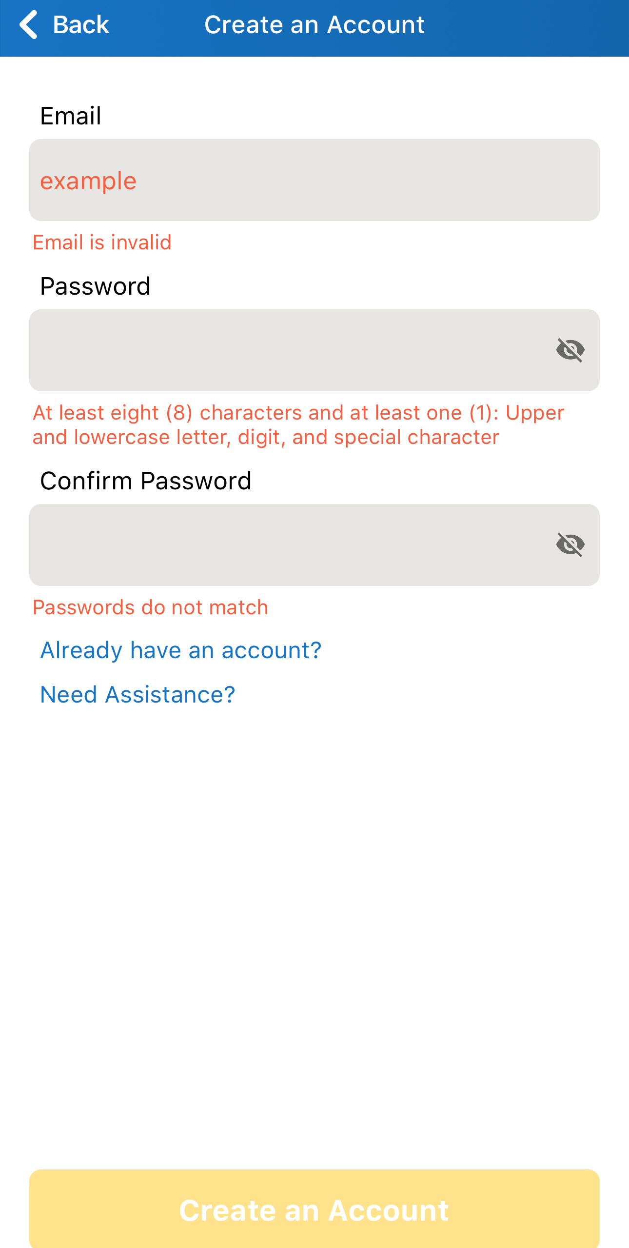 Create an Account - Not Filled Correctly.PNG