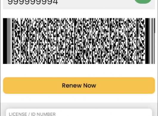 Renew - License.png